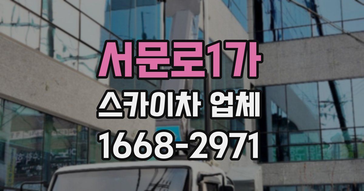 서문로1가 스카이차 업체