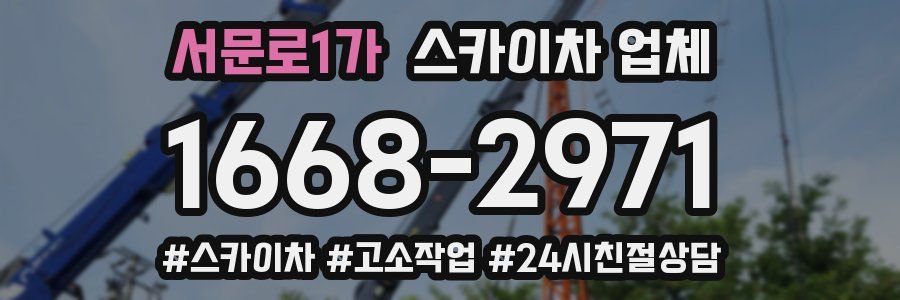 서문로1가 스카이차 업체