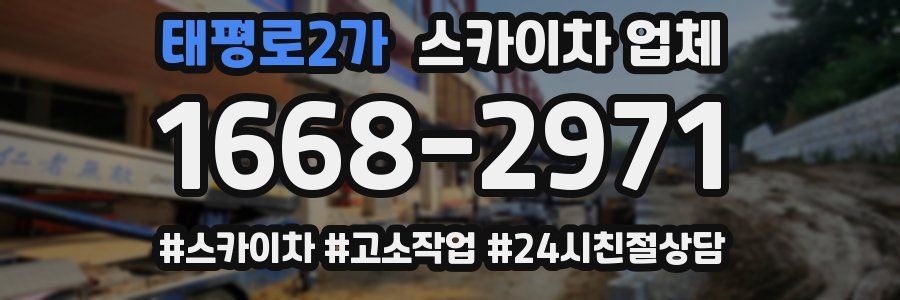 태평로2가 스카이차 업체