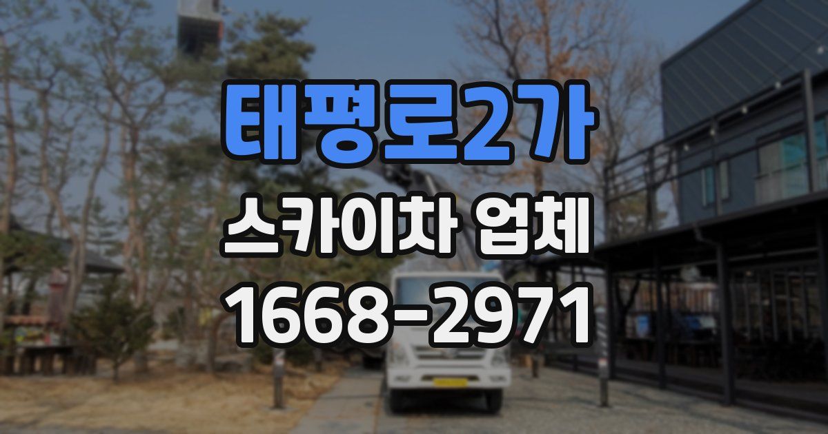 태평로2가 스카이차 업체