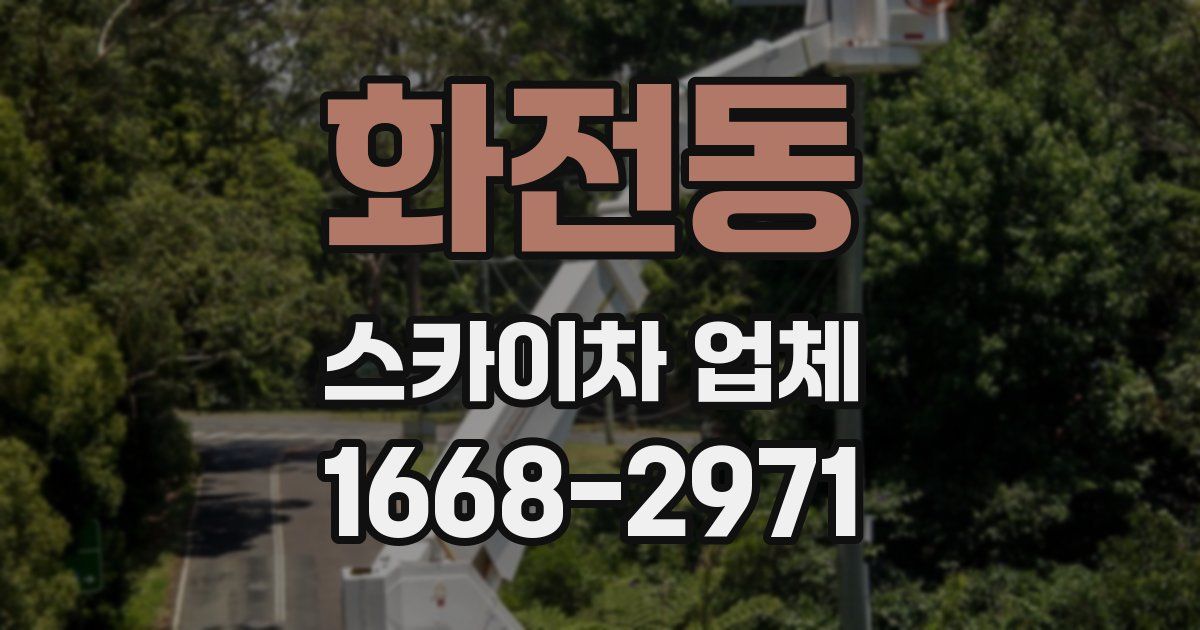 화전동 스카이차 업체