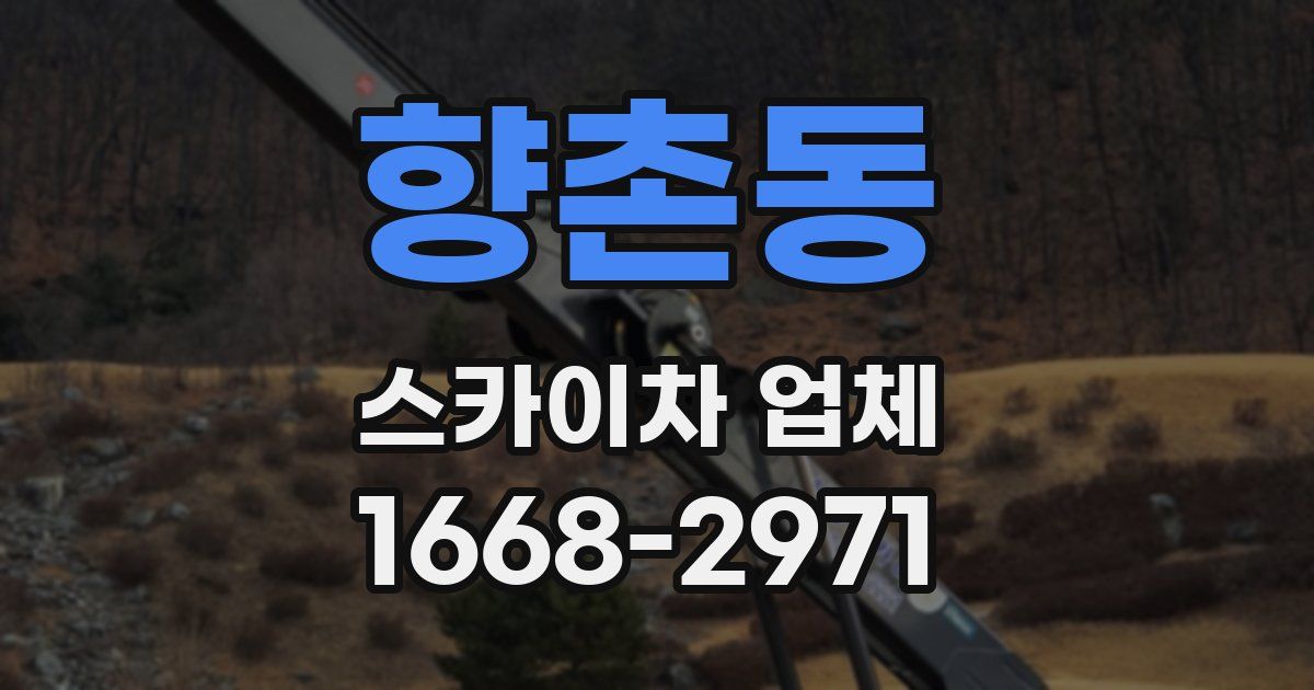 향촌동 스카이차 업체