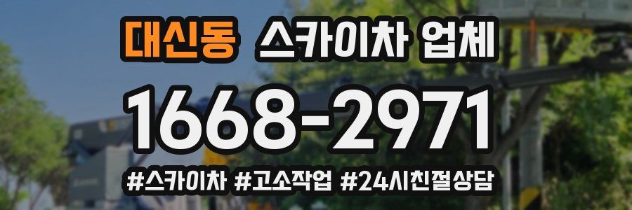 대신동 스카이차 업체