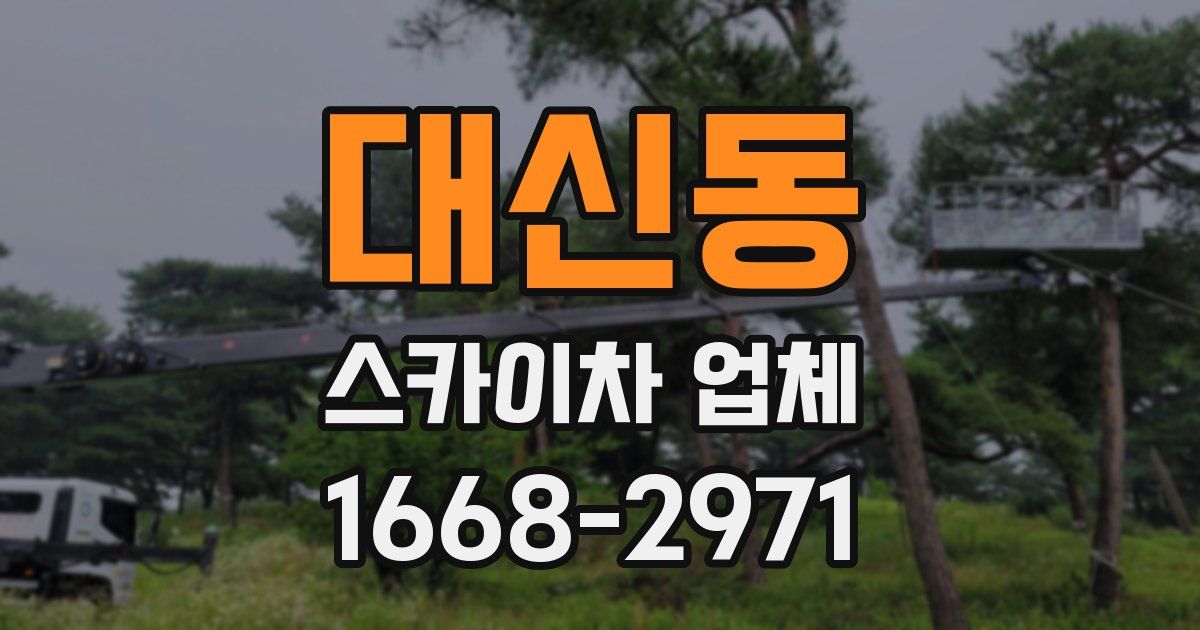 대신동 스카이차 업체