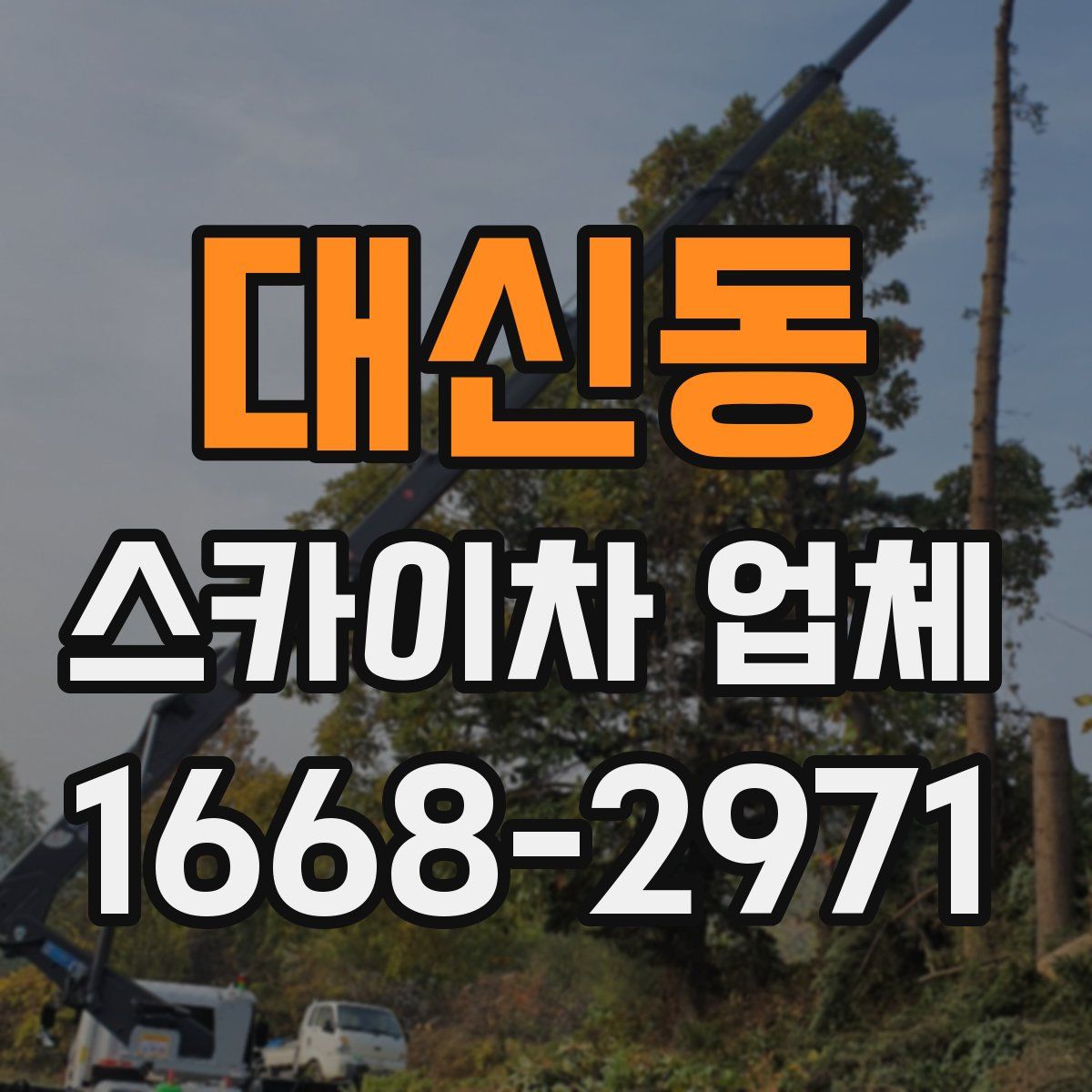 대신동 스카이차 업체