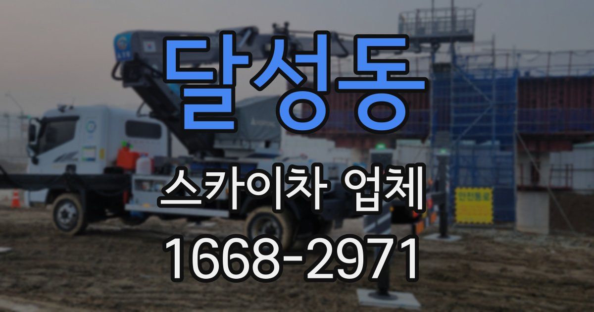 달성동 스카이차 업체