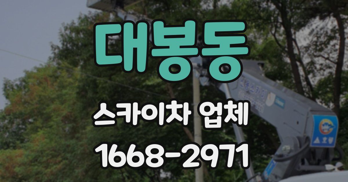 대봉동 스카이차 업체