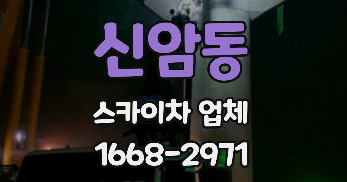 신암동 스카이차 업체