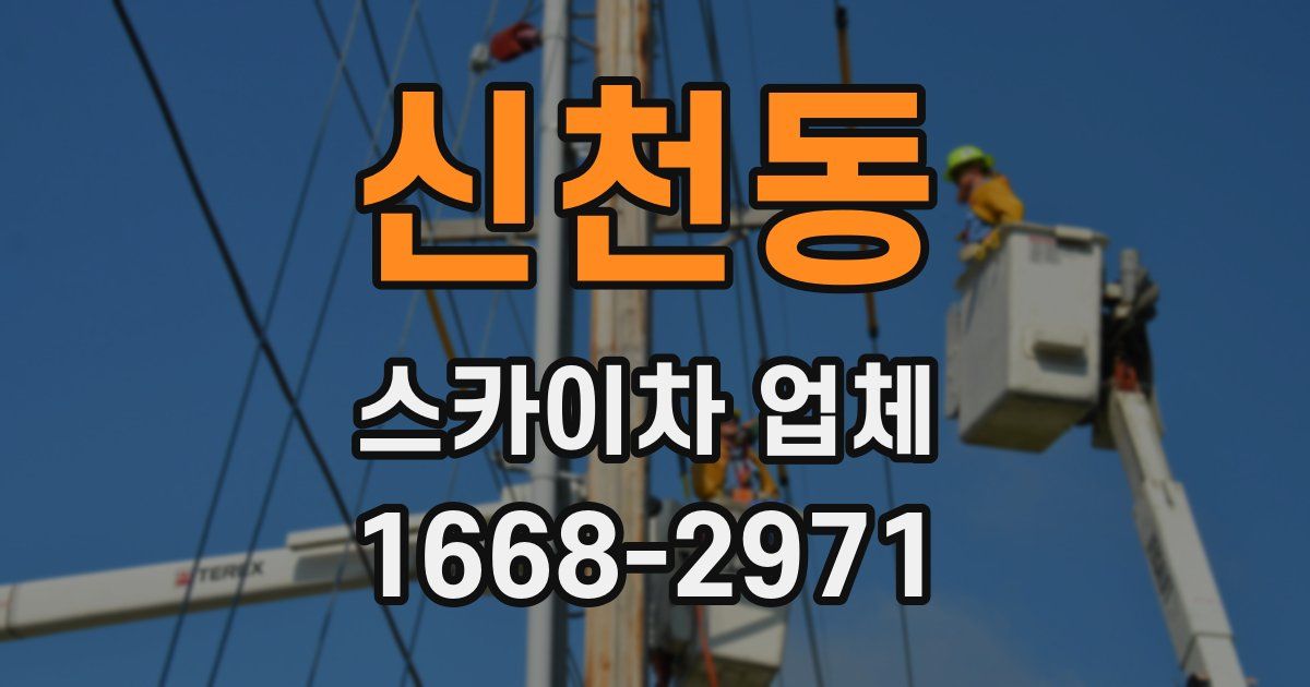 신천동 스카이차 업체