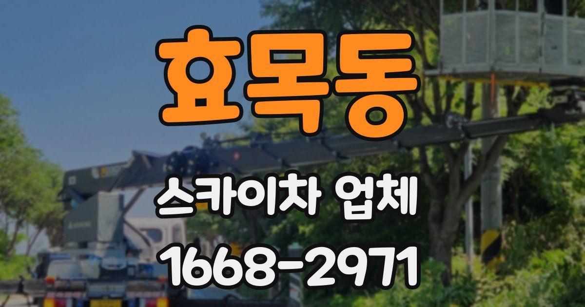 효목동 스카이차 업체