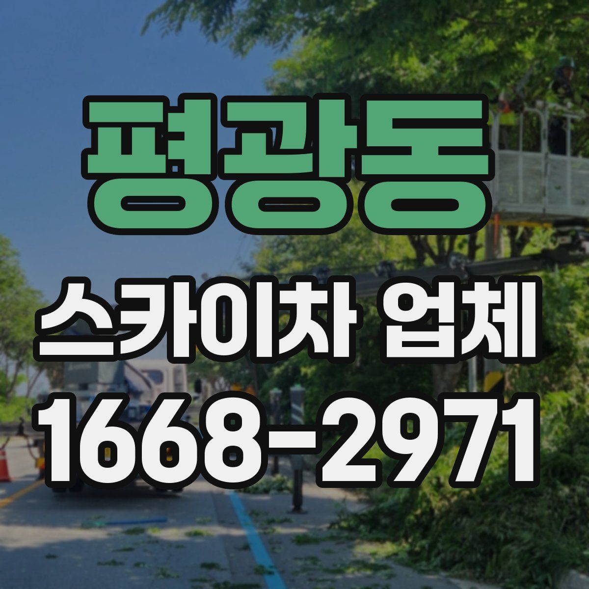 평광동 스카이차 업체