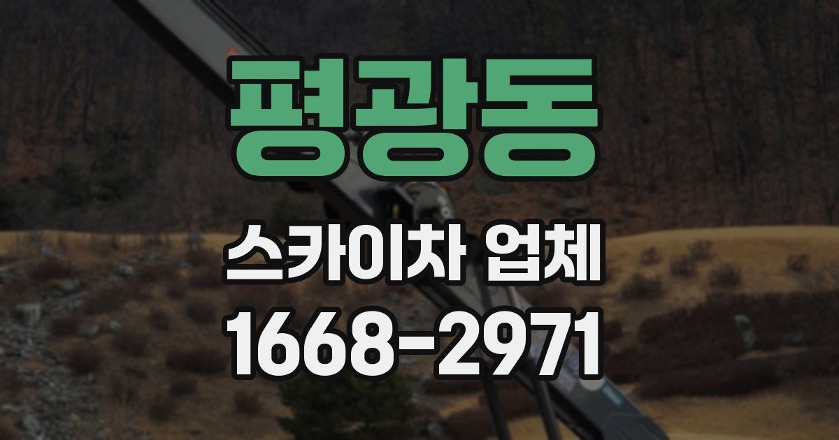 평광동 스카이차 업체