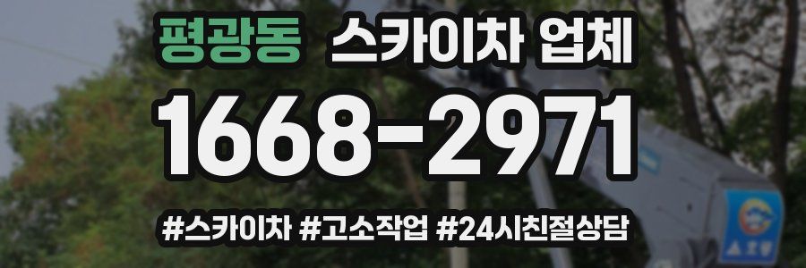 평광동 스카이차 업체