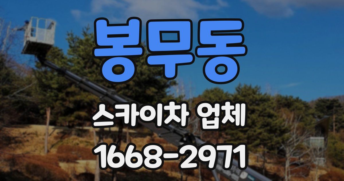 봉무동 스카이차 업체