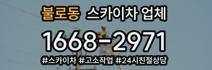 불로동 스카이차 업체