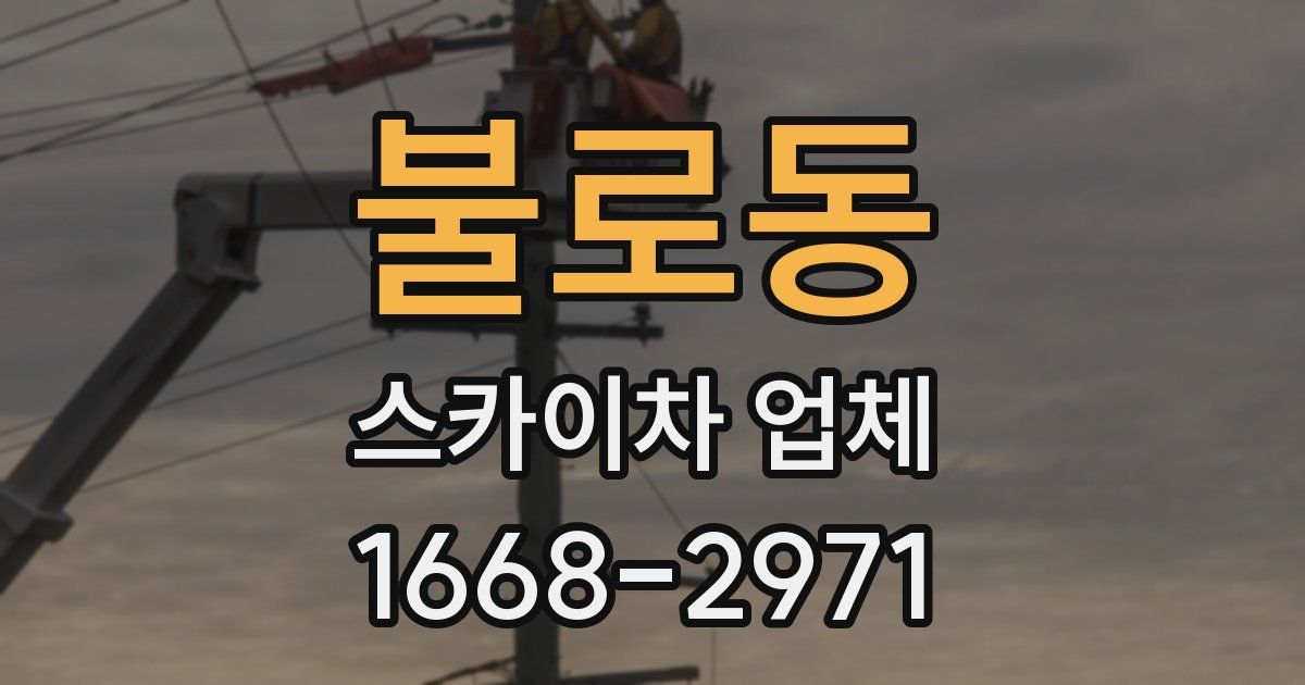 불로동 스카이차 업체