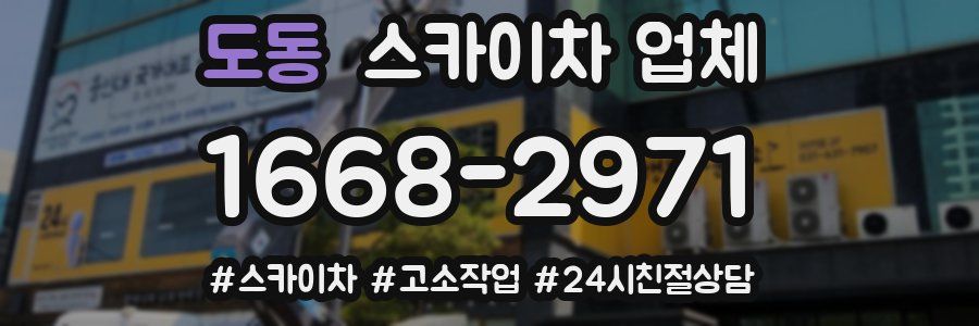 도동 스카이차 업체