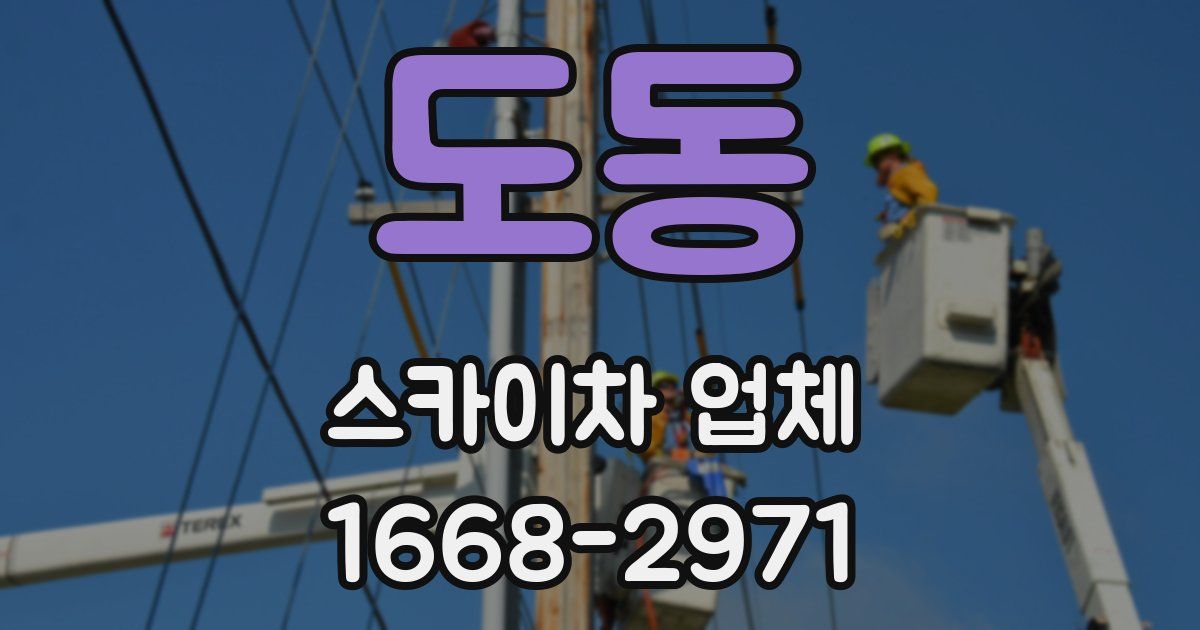도동 스카이차 업체