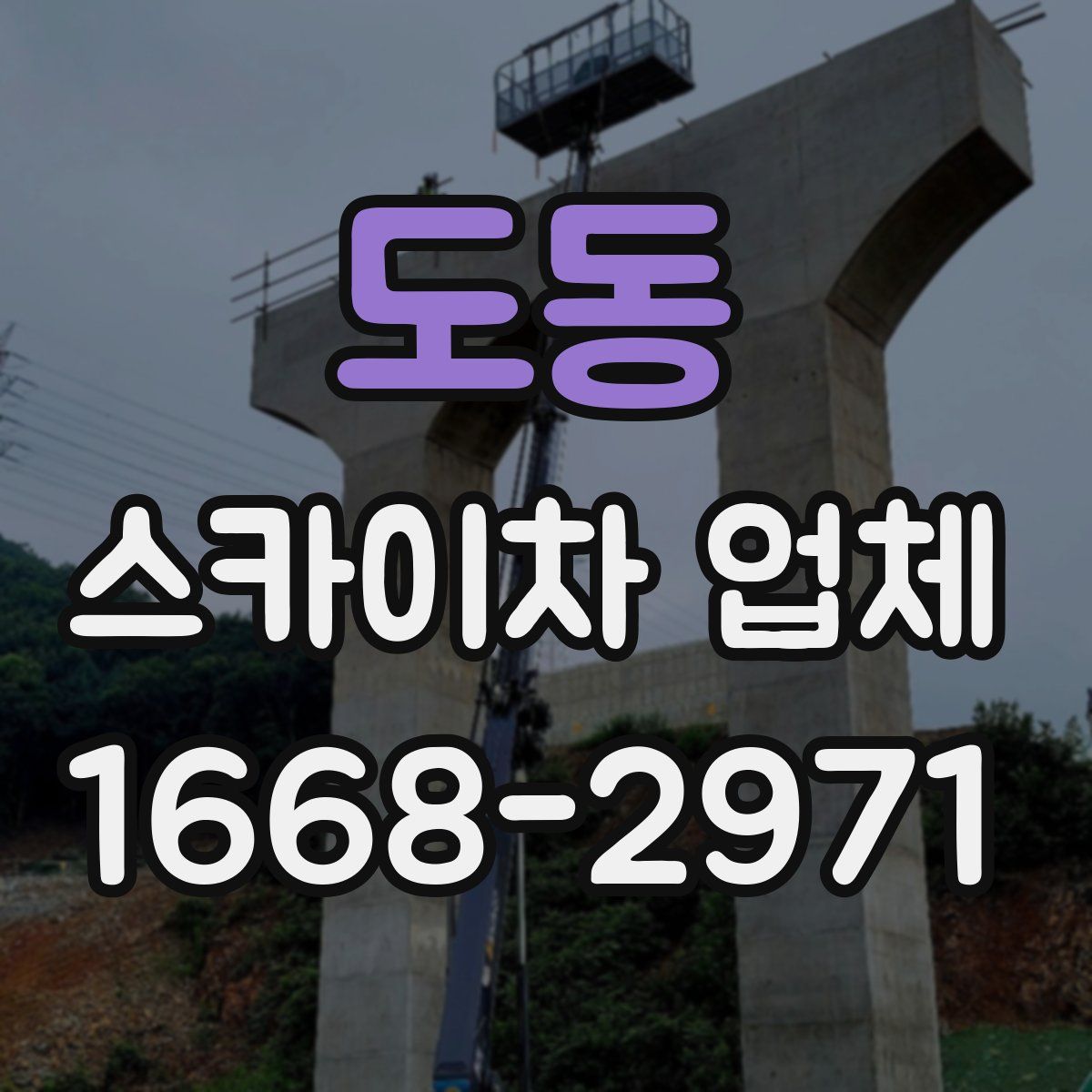 도동 스카이차 업체