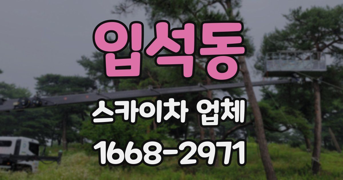 입석동 스카이차 업체