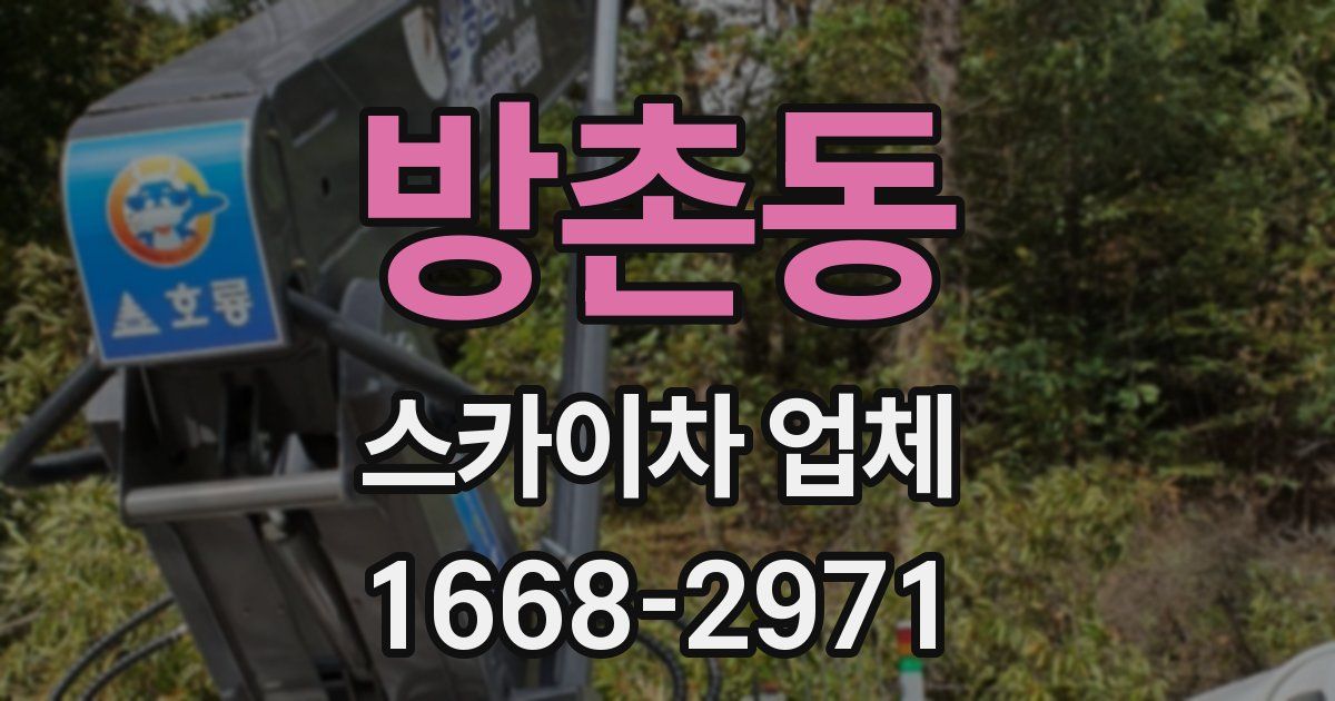 방촌동 스카이차 업체