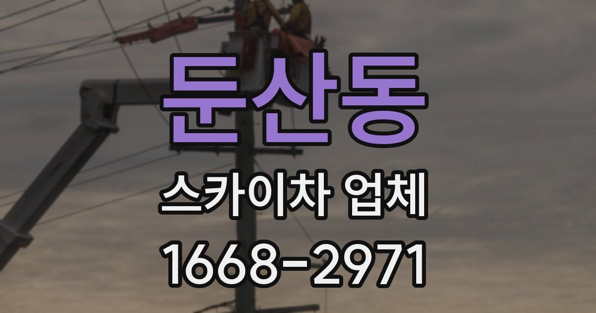 둔산동 스카이차 업체