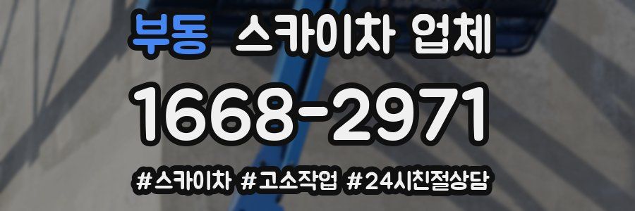 부동 스카이차 업체