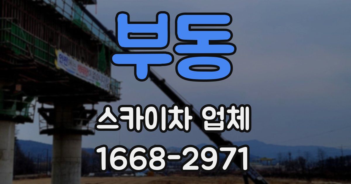 부동 스카이차 업체