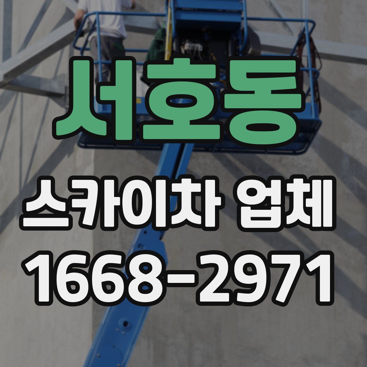 서호동 스카이차 업체