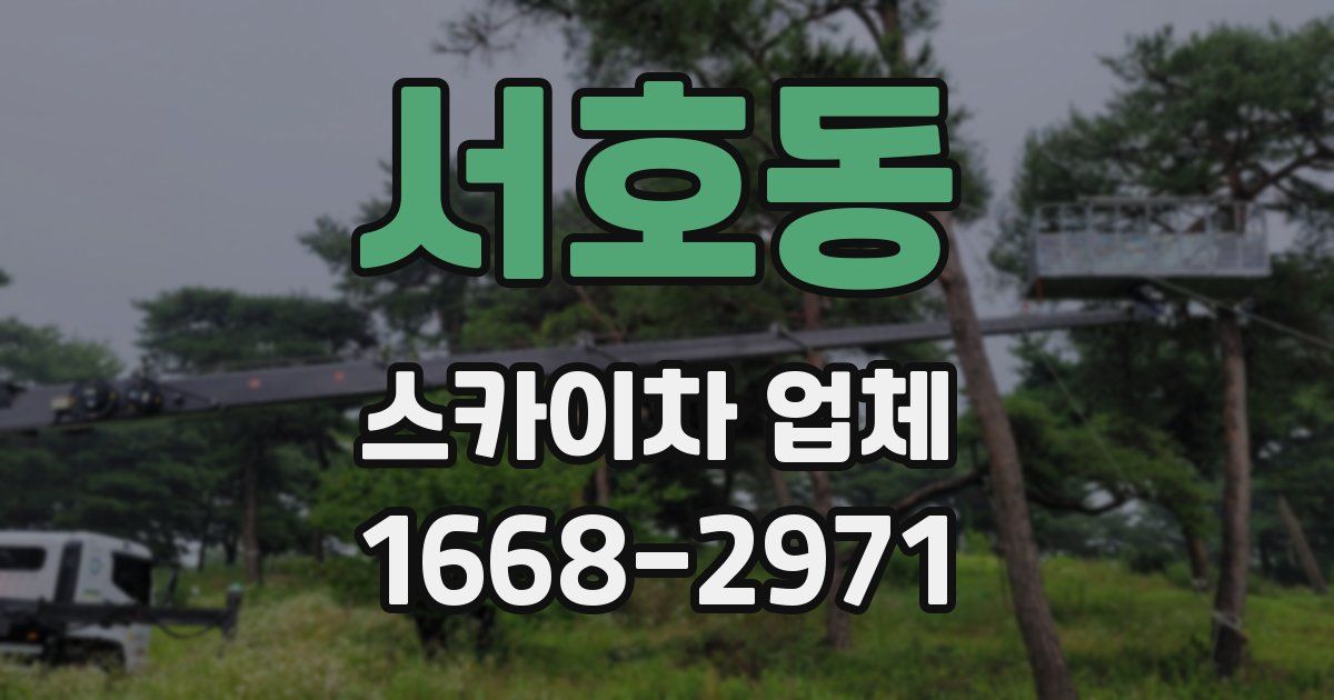 서호동 스카이차 업체