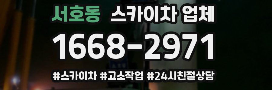 서호동 스카이차 업체