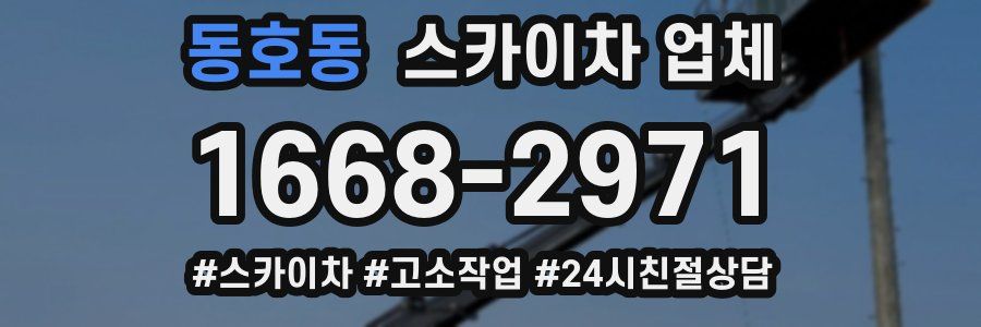 동호동 스카이차 업체