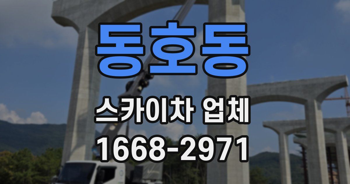 동호동 스카이차 업체