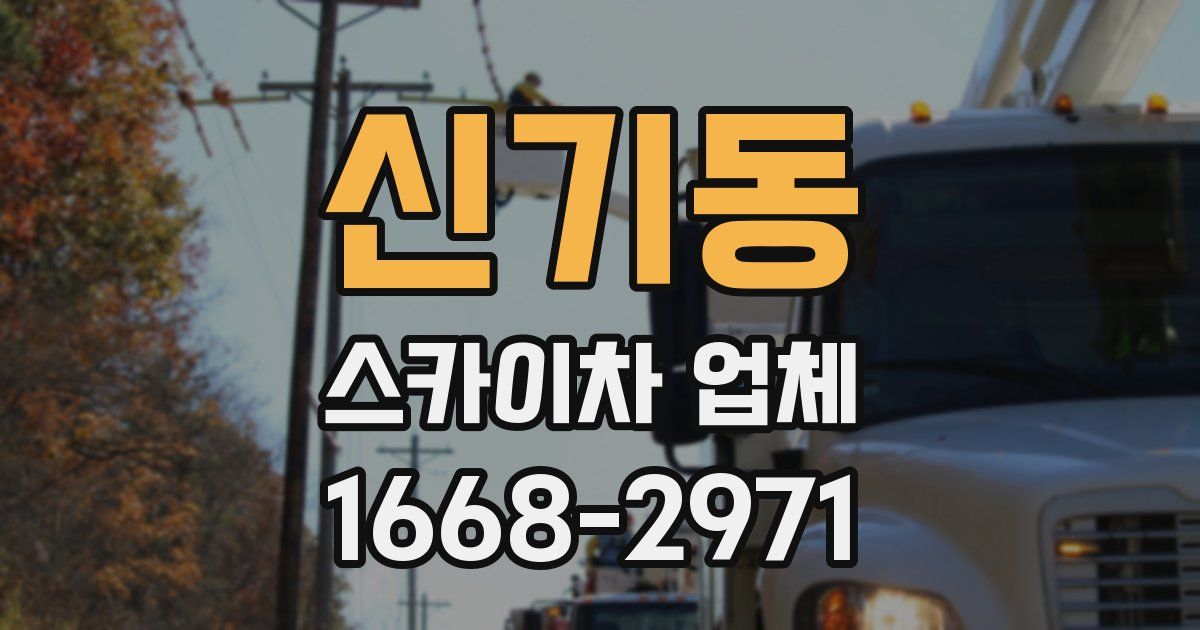 신기동 스카이차 업체