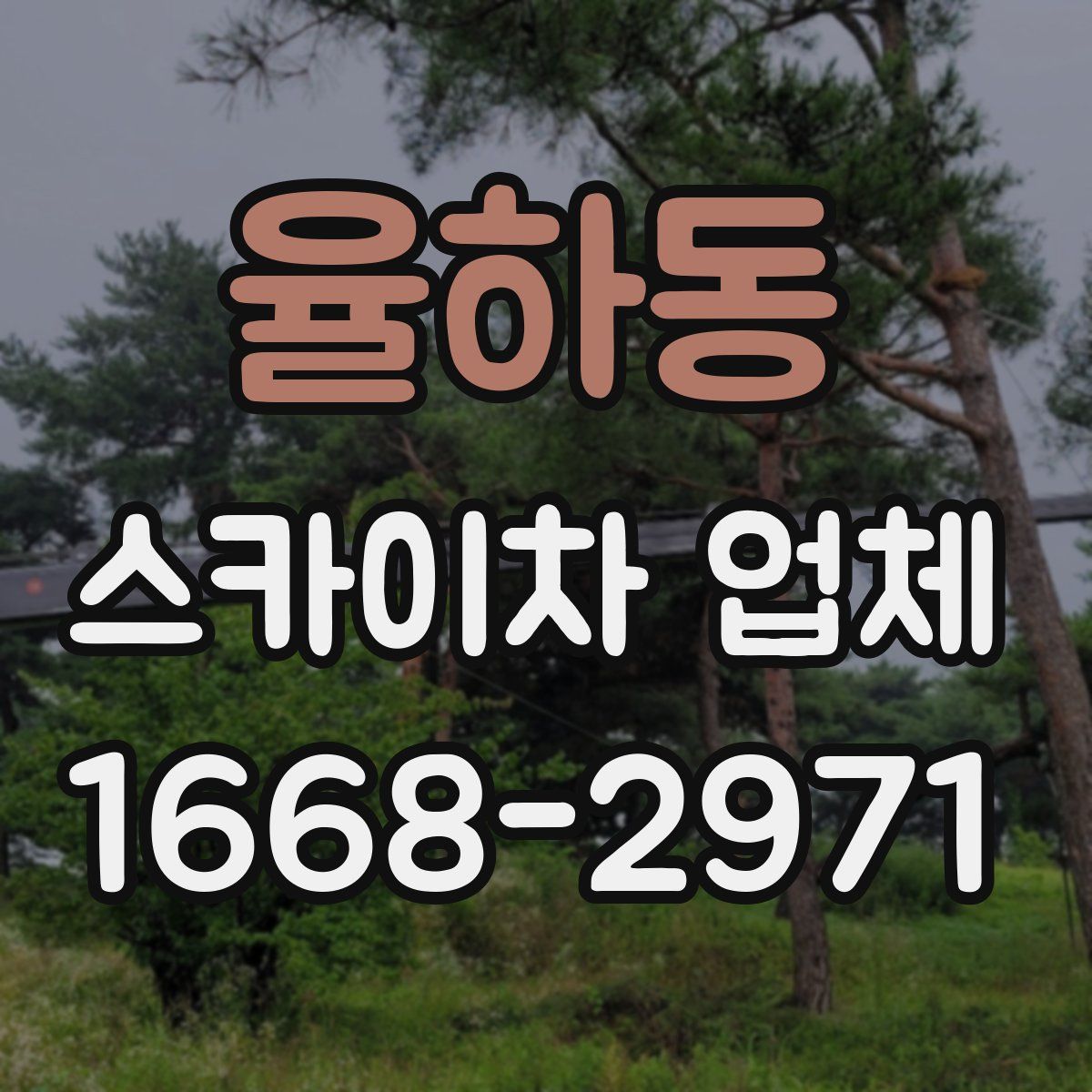 율하동 스카이차 업체