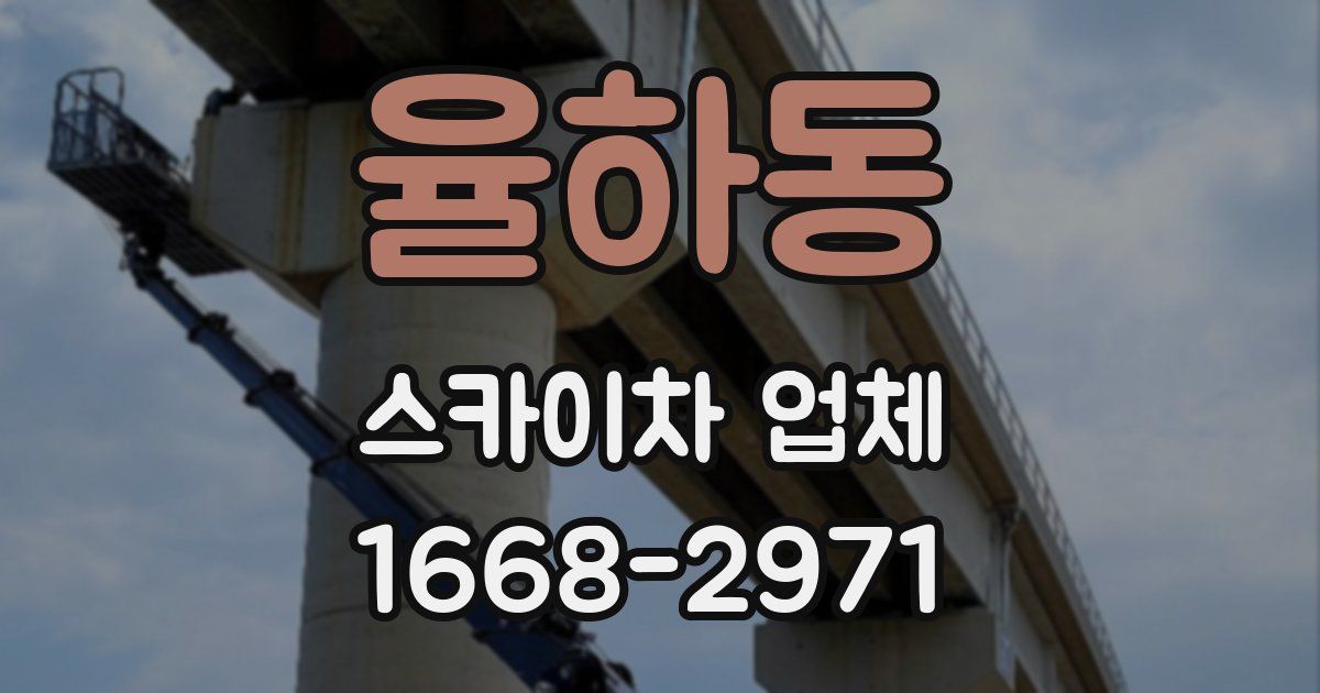 율하동 스카이차 업체
