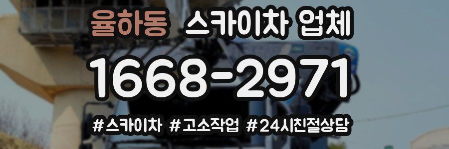 율하동 스카이차 업체