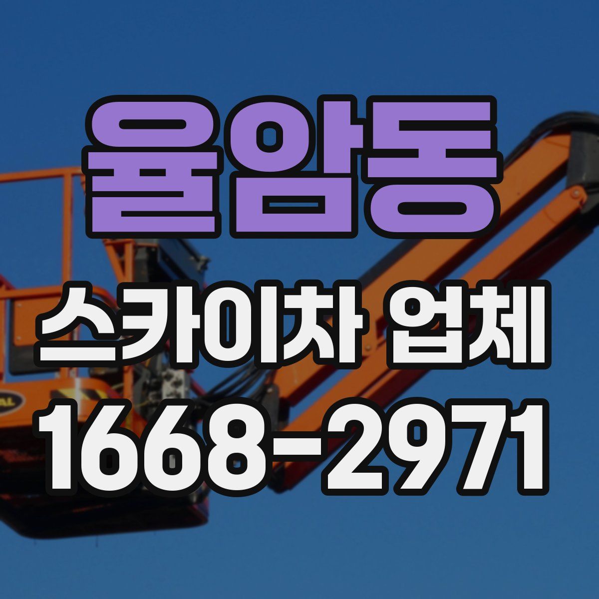 율암동 스카이차 업체