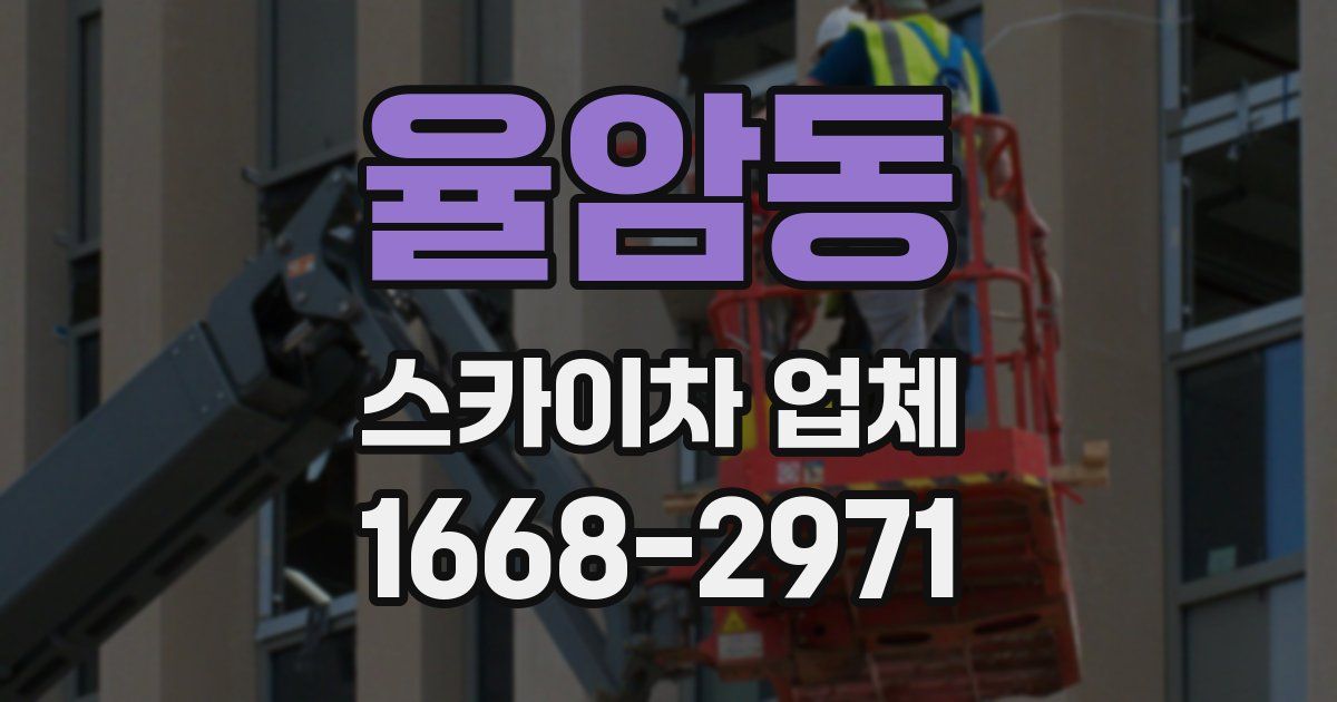 율암동 스카이차 업체