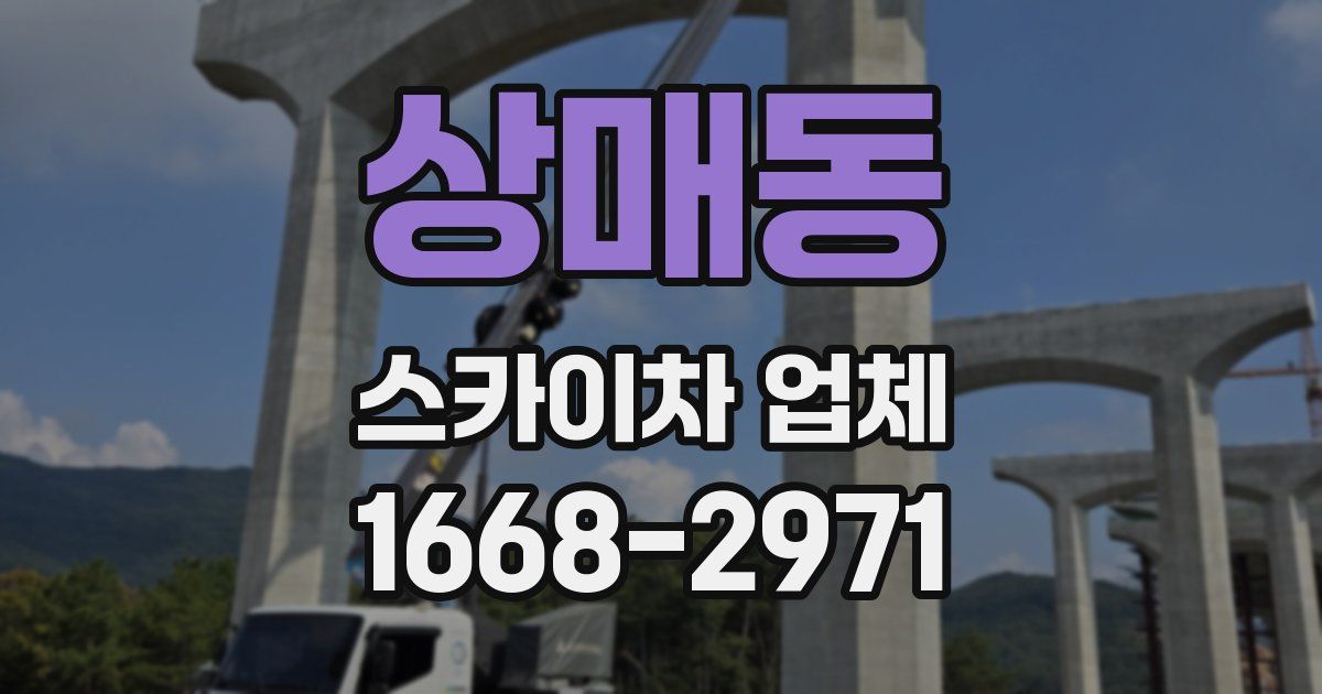 상매동 스카이차 업체