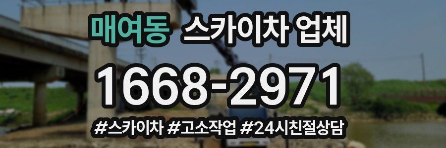 매여동 스카이차 업체