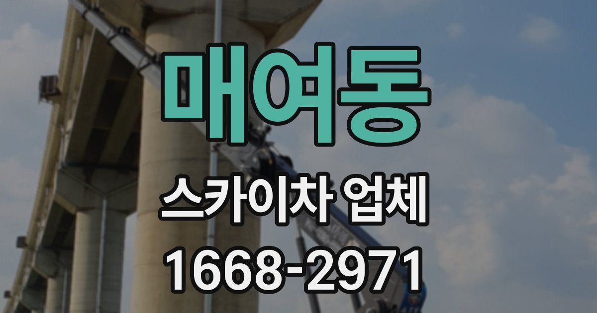 매여동 스카이차 업체