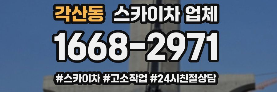 각산동 스카이차 업체