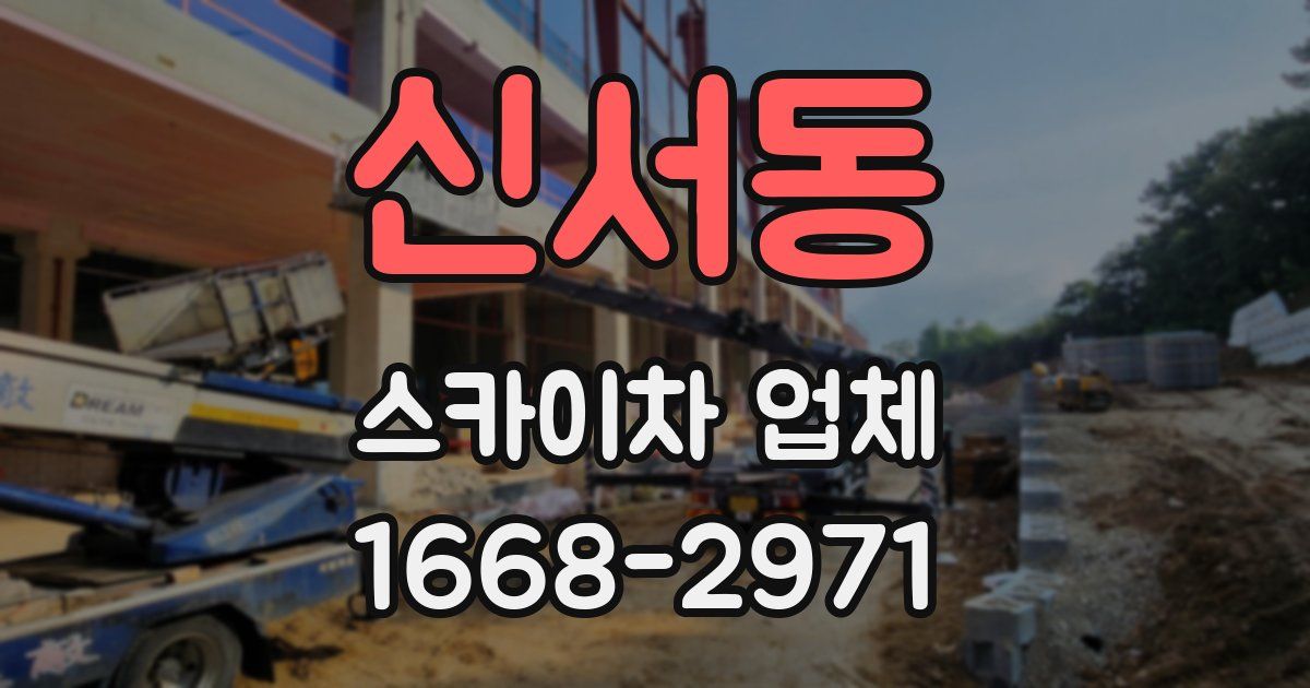 신서동 스카이차 업체