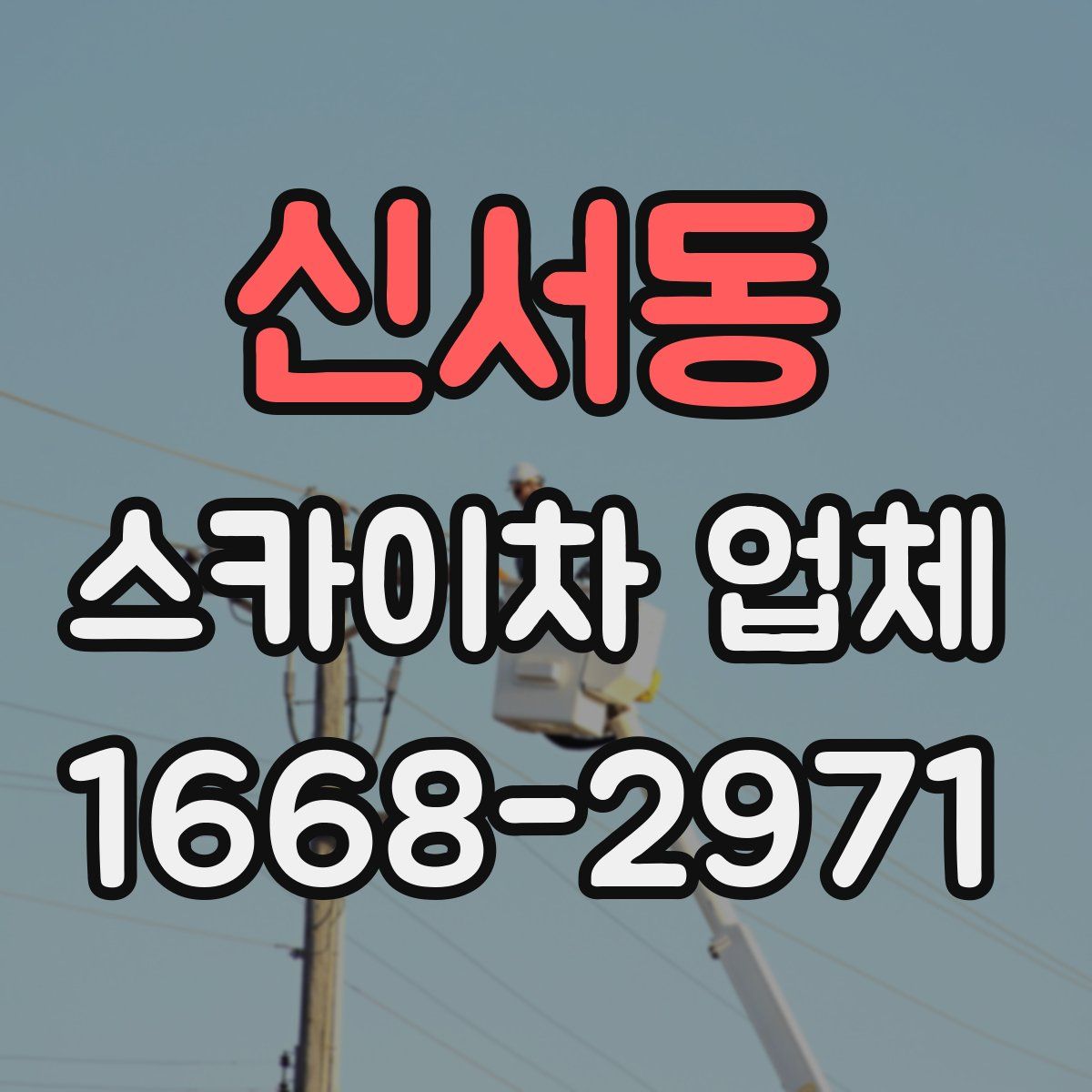 신서동 스카이차 업체