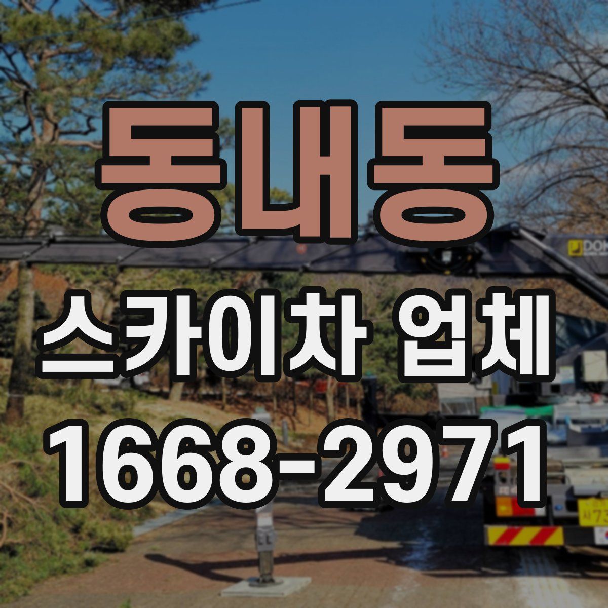 동내동 스카이차 업체