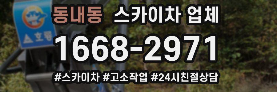 동내동 스카이차 업체