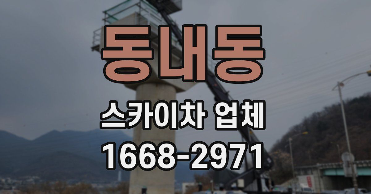 동내동 스카이차 업체