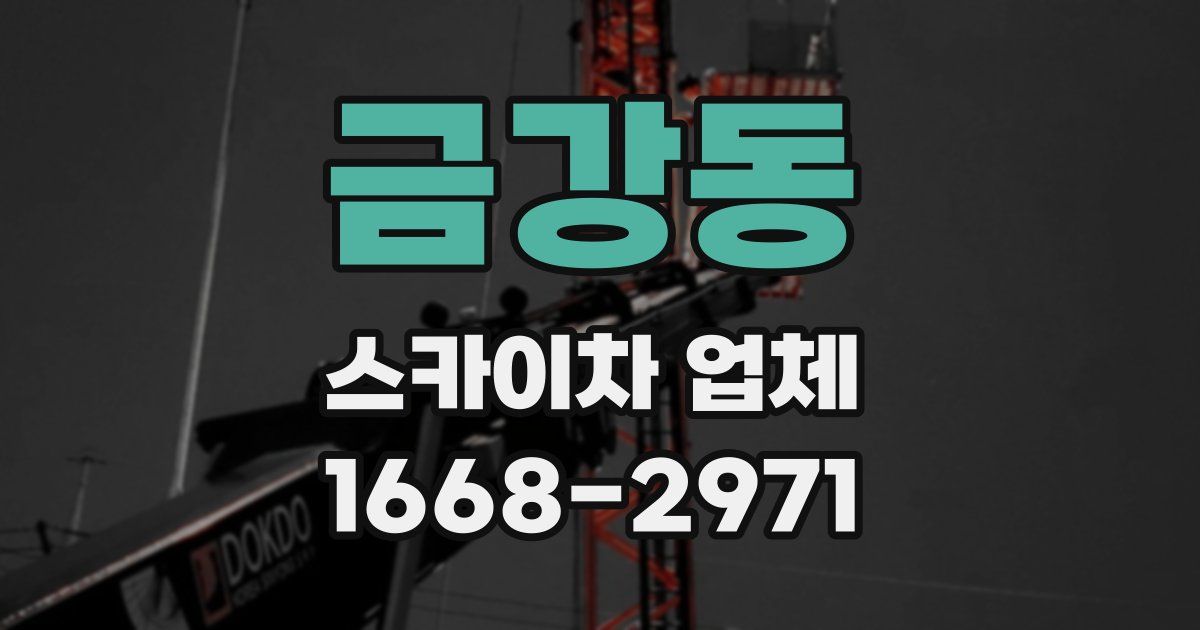 금강동 스카이차 업체