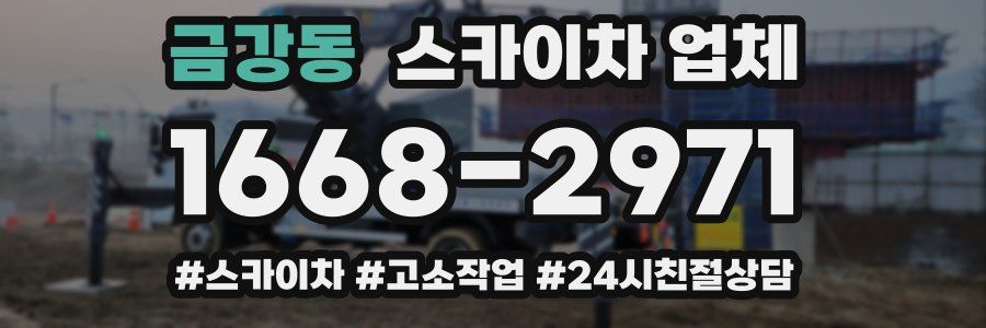 금강동 스카이차 업체